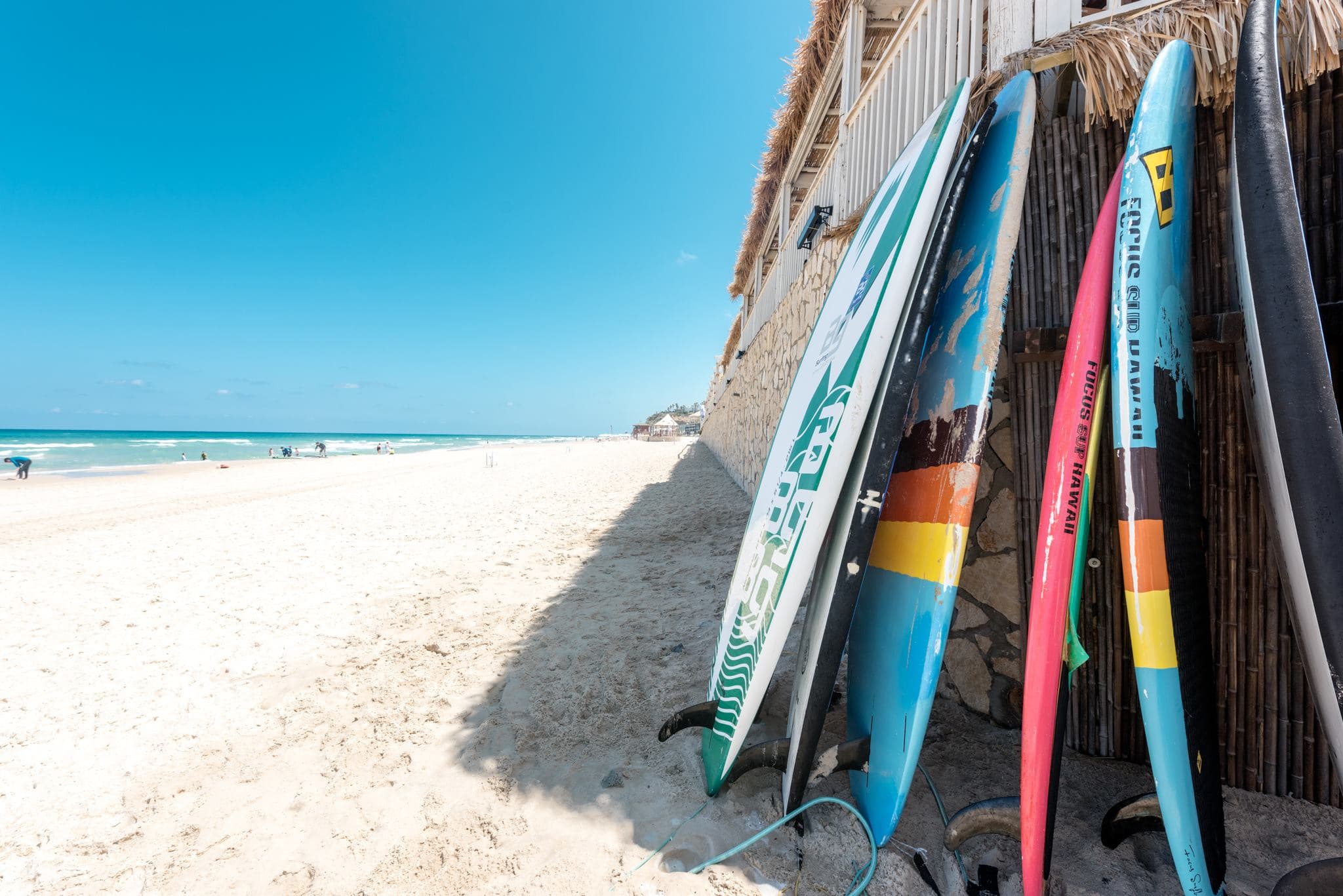 Surf & Sail Club